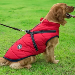 Veste pour chien