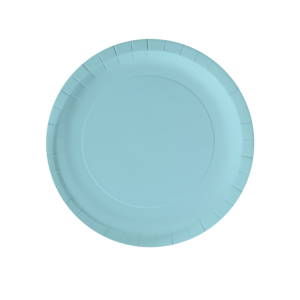 6 assiettes carton 23 cm