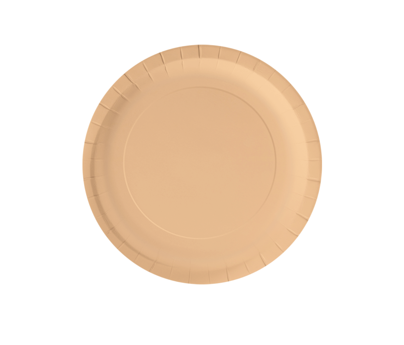 6 assiettes carton 23 cm – Image 5