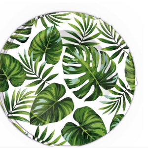 6 assiettes tropical