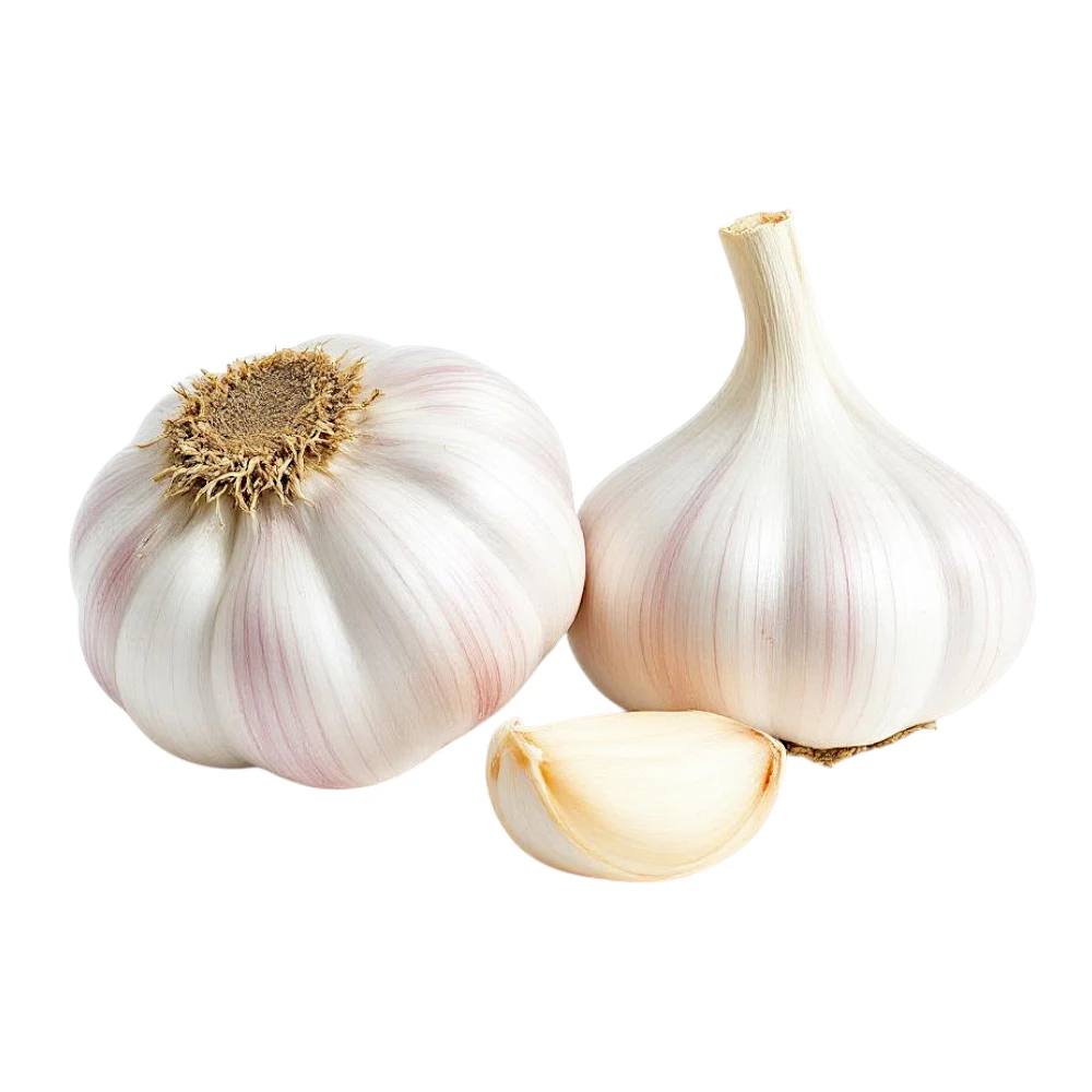 Ail violet – Image 3