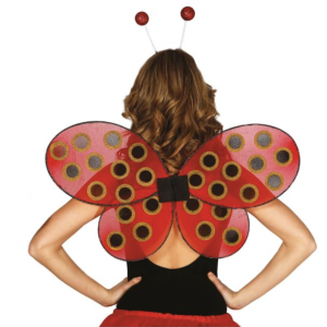 AILES COCCINELLE 52 X 44 CMS