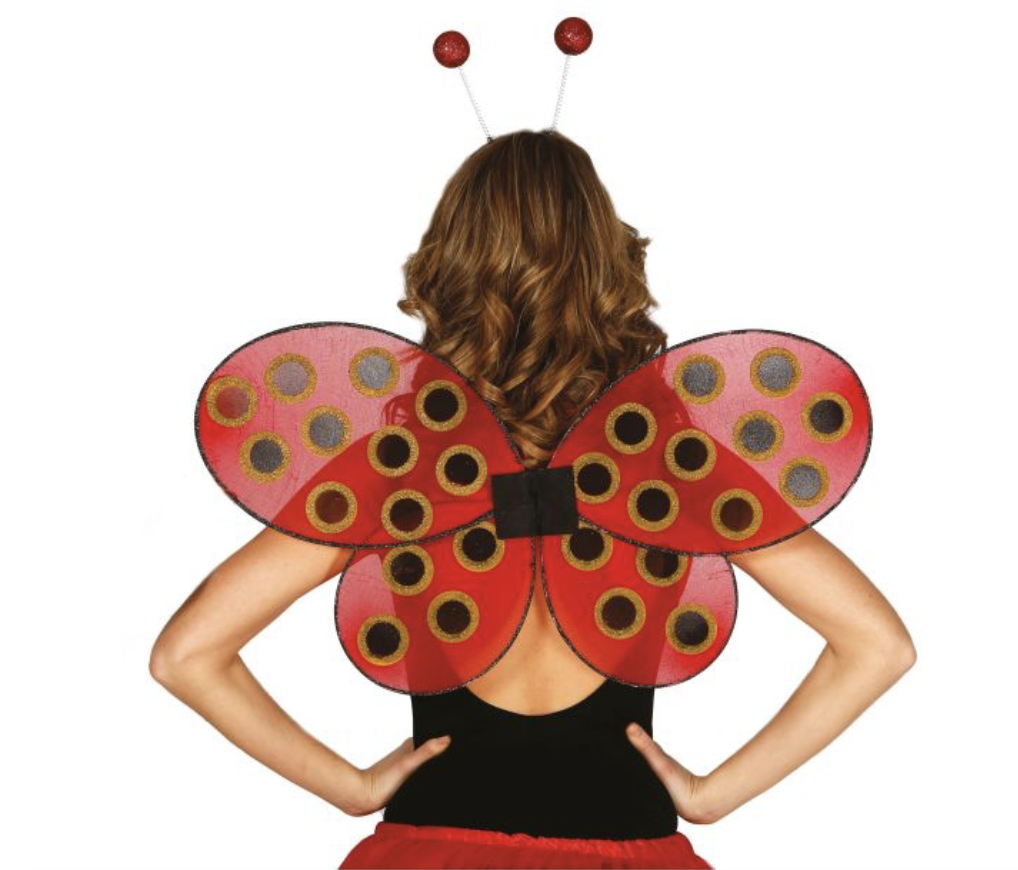 AILES COCCINELLE 52 X 44 CMS – Image 2