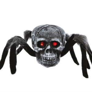 Araignée tête de mort