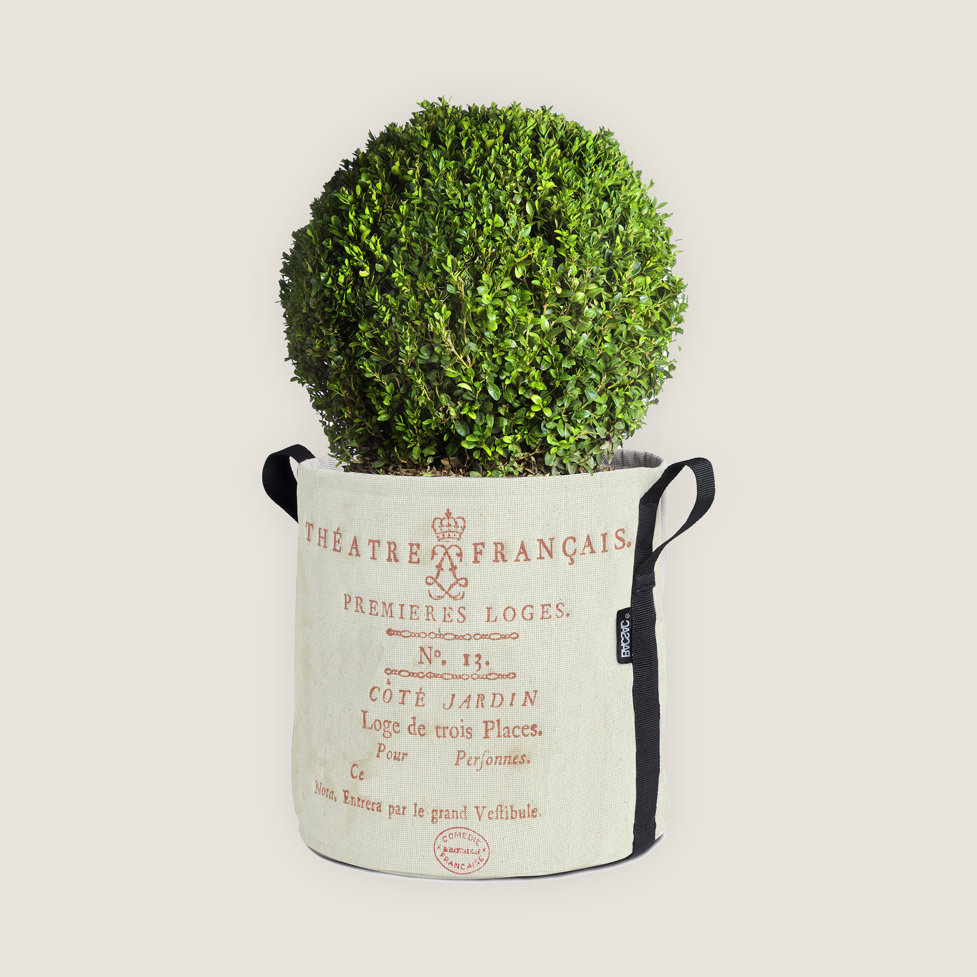 Côté cour, côté jardin – Image 5