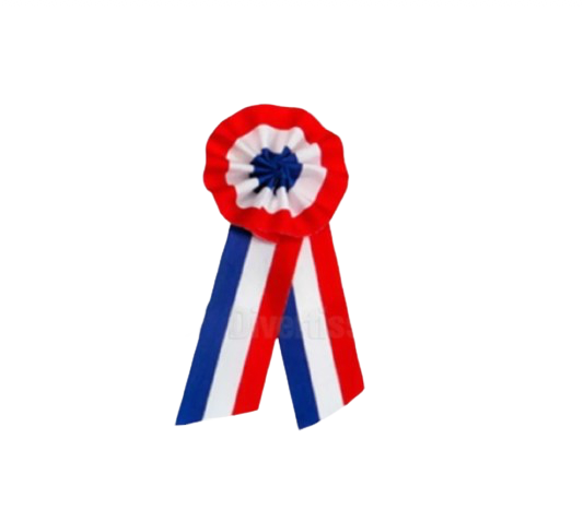 Badge Cocarde France