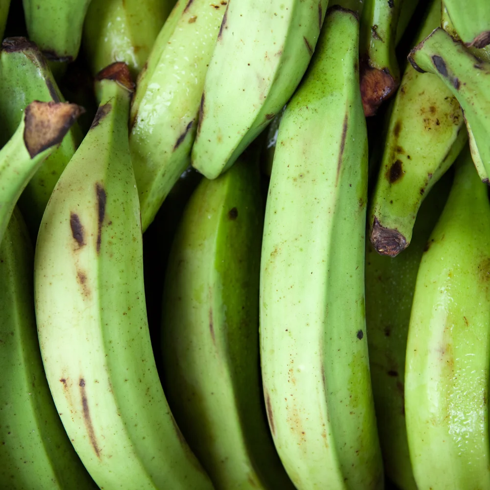 Banane plantain 1kg – Image 2