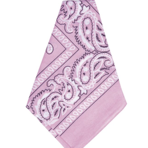 Bandana Cowgirl rose