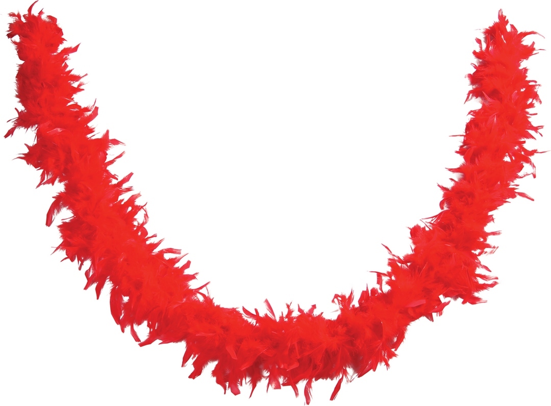 Boa plumes rouges – Image 2