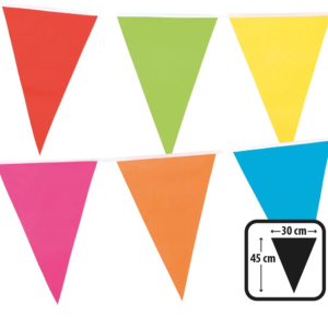 GUIRLANDE 18 FANIONS 45X30 MULTICOLORS 10 M