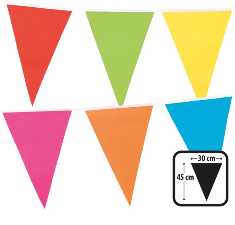 GUIRLANDE 18 FANIONS 45X30 MULTICOLORS 10 M