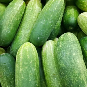 Concombre