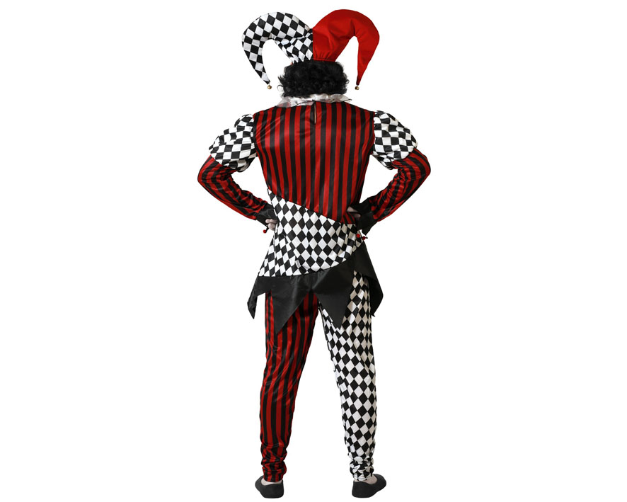 Déquisement Arlequin – Image 3