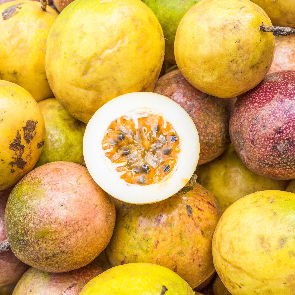 Fruit de la passion – Image 2