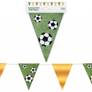 Guirlande Fanions Football