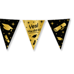 Guirlande fanions diplomé