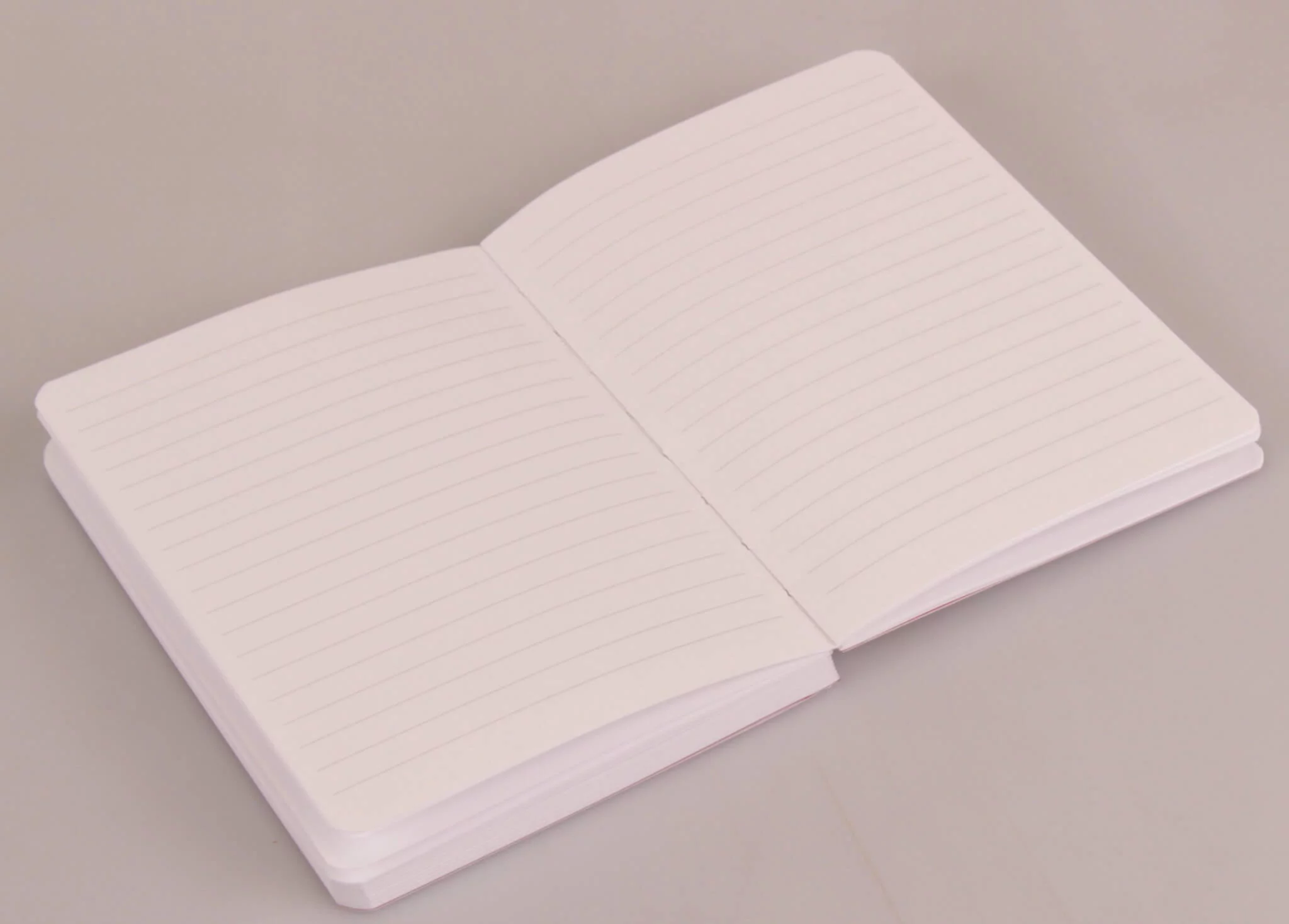 Carnet Molière tatoué A5 – Image 5