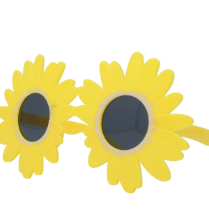 LUNETTES MARGUERITES