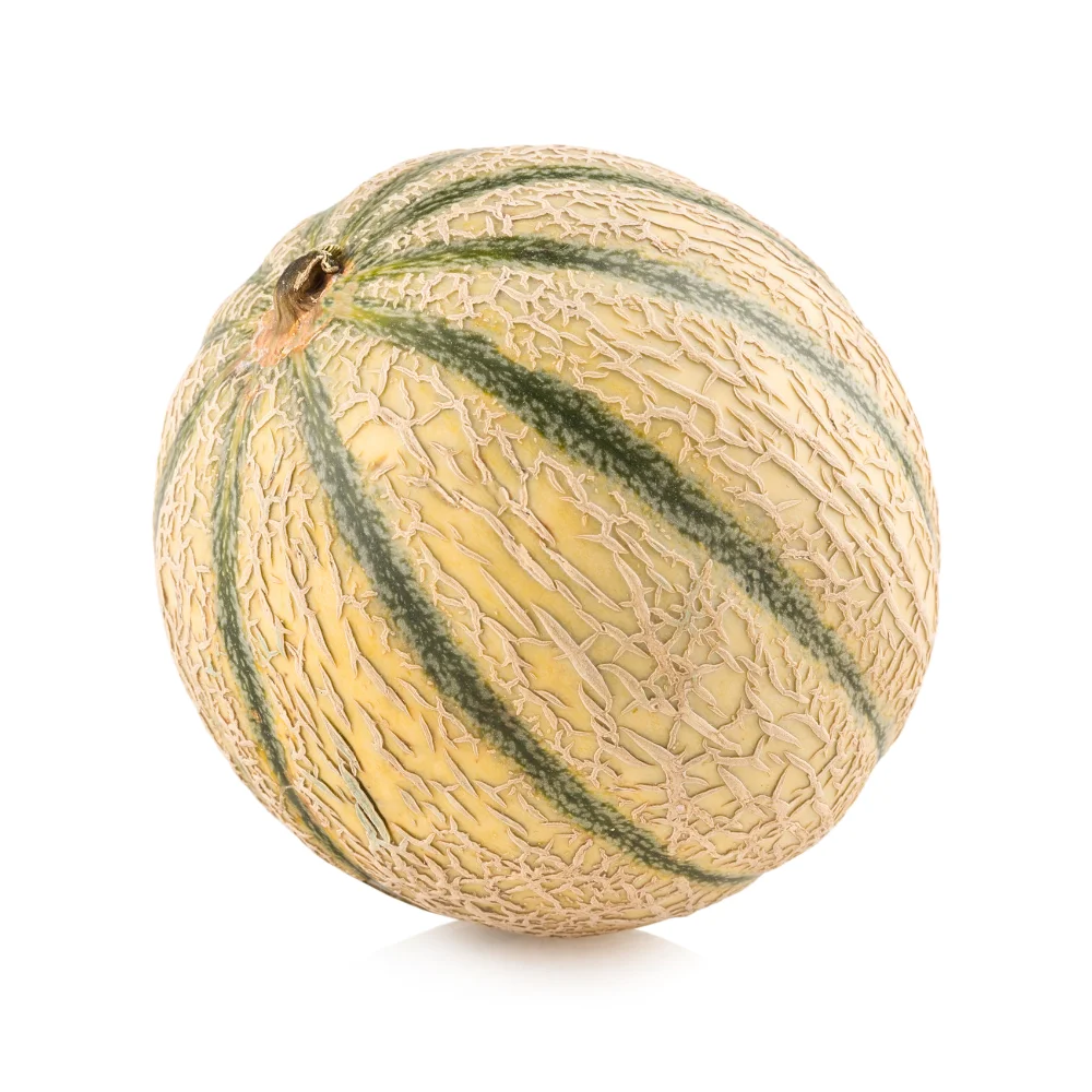 Melon Charentais – Image 3
