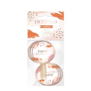 12 PICS DECO PARTY BLUSH