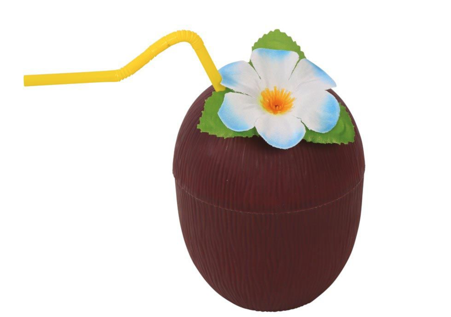 Verre noix de coco – Image 2