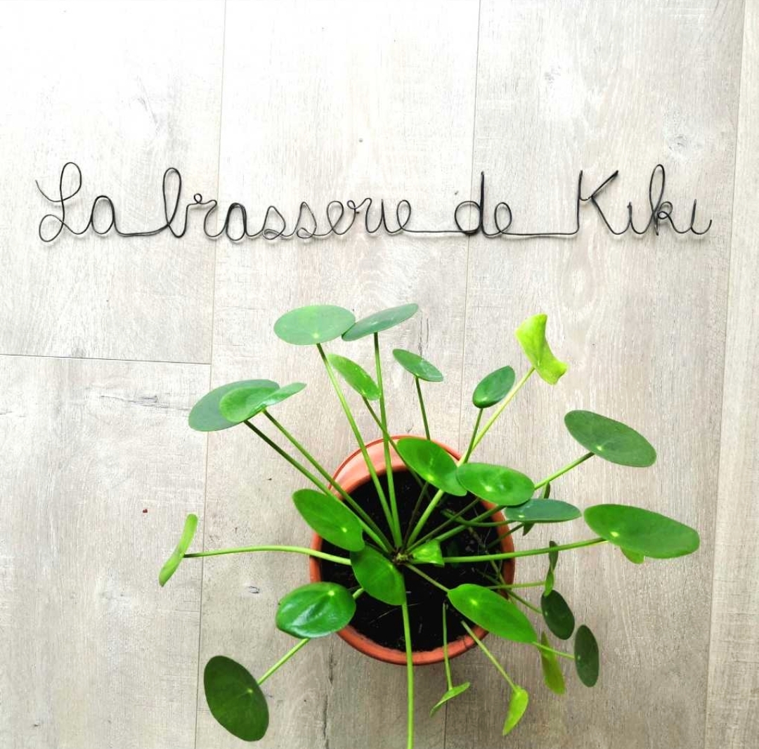 Message Personnalisé en Fil de fer – Mural ou Suspendu – Image 3